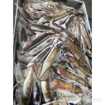 Frozen Purpleback Flying Squid 80-120G